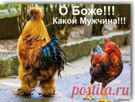 Интересные новости
