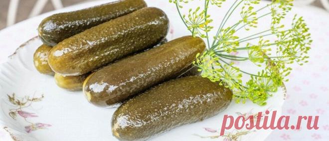 10 проверенных и разнообразных рецептов заготовок на зиму - еженедельная рассылка «Еда.ру»