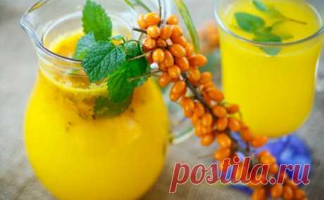 Облепиха на зиму: простые рецепты вкусных домашних заготовок | Статьи (Огород.ru)