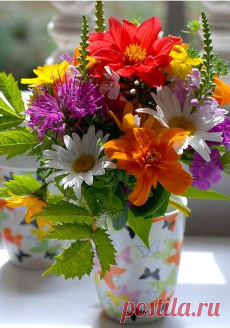 Галина Андреева – Google+