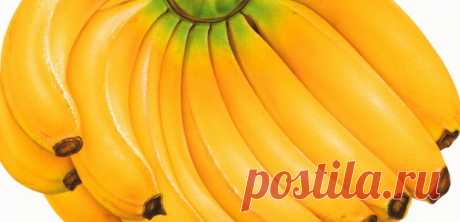 Бананы - польза и полезные свойства бананов