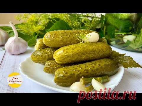 Что Может Быть Вкуснее Свежих Огурцов? ХРУСТЯЩИЕ МАЛОСОЛЬНЫЕ ОГУРЧИКИ!