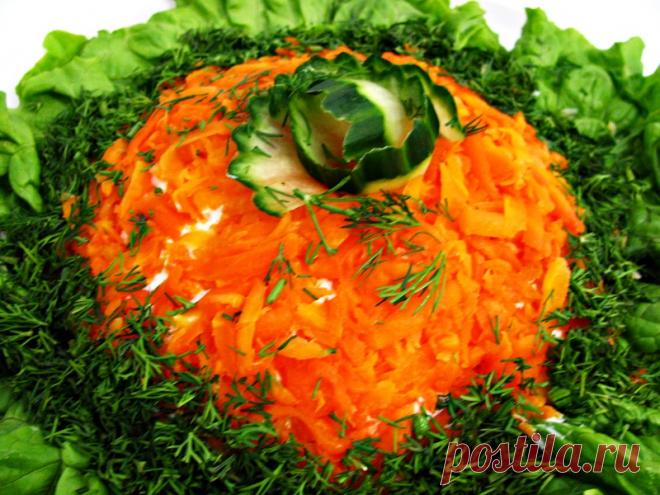 Салаты еще не выглядели так нарядно: 10 идей оформления для твоего праздничного стола Наверняка ты когда-нибудь задумывался над тем, почему в некоторых странах на Рождество принято украшать дом праздничным венком. На самом деле эта традиция пришла из Германии. Венок из еловых веток, де…