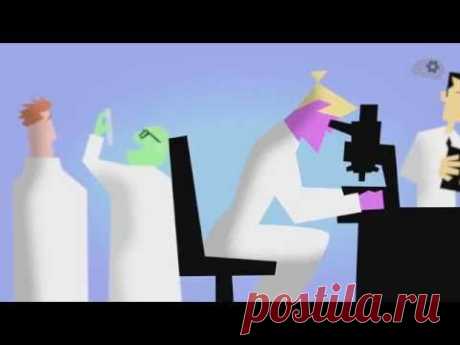 Как правильно принимать антибиотики? / Будьте здоровы