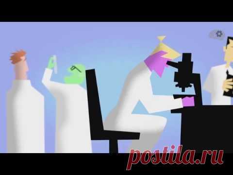 Как правильно принимать антибиотики? / Будьте здоровы