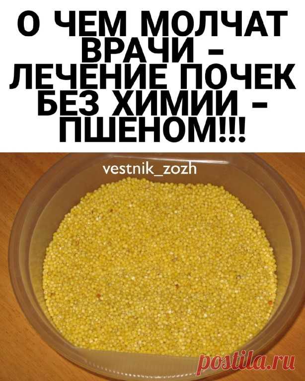 О ЧЕМ МОЛЧАТ ВРАЧИ - ЛЕЧЕНИЕ ПОЧЕК БЕЗ... | Интересный контент в группе Интернет- Магазин Мода и Стиль!Женская одежда О ЧЕМ МОЛЧАТ ВРАЧИ - ЛЕЧЕНИЕ ПОЧЕК БЕЗ ХИМИИ - ПШЕНОМ!!! Лечение почек пшеном очень эффективно. Пшено выводит камни и песок из почек, из мочевого... | Вступай в группу Интернет- Магазин Мода и Стиль!Женская одежда в Одноклассниках