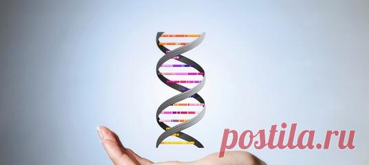 Наследуется ли «темная триада» черт личности — нарциссизм, психопатия и маккиавеллизм? Что важнее для формировании личности — генетика или среда? #самоанализ #эмоции #психогенетика #наследственность