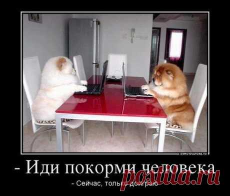 пусть подождёт......доиграю.....