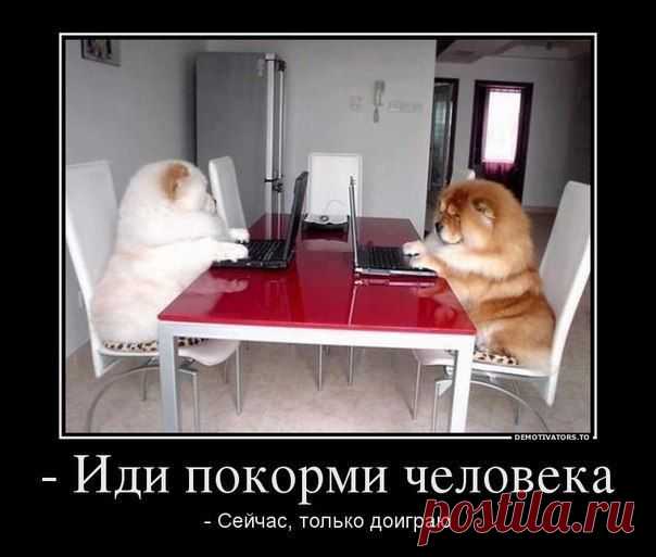 пусть подождёт......доиграю.....