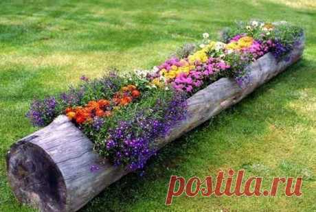 Фотографии на стене сообщества | 32 801 фотография