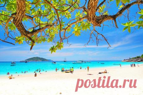 СИМИЛАНСКИЕ ОСТРОВА — Экскурсии на Пхукете,Таиланд, 2015, цены, отзывы, фото, аренда катера, рыбалка, дайвинг.