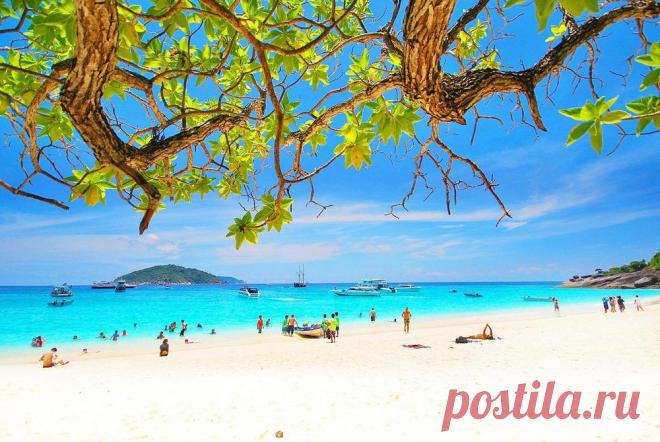 СИМИЛАНСКИЕ ОСТРОВА — Экскурсии на Пхукете,Таиланд, 2015, цены, отзывы, фото, аренда катера, рыбалка, дайвинг.