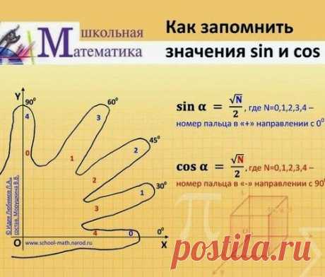 Век живи, век учись