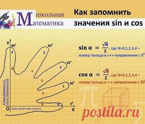 Век живи, век учись
