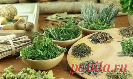 СРЕДСТВА И ТРАВЫ ДЛЯ ПОВЫШЕНИЯ ИММУНИТЕТА