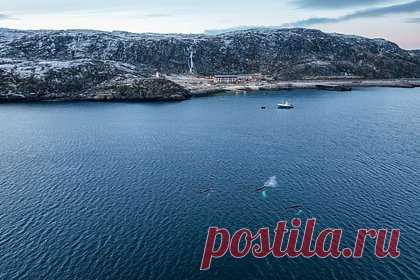 Потепление в городе российской Арктики повторило рекорд 1963 года. В Мурманске резкое потепление повторило температурный рекорд 60-летней давности. Об этом сообщается на сайте регионального Гидрометцентра. Там уточнили, что в российском городе столбики термометров поднялись до плюс 21,8 градуса — такая же температура была в 1963 году.