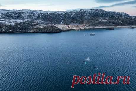 Потепление в городе российской Арктики повторило рекорд 1963 года. В Мурманске резкое потепление повторило температурный рекорд 60-летней давности. Об этом сообщается на сайте регионального Гидрометцентра. Там уточнили, что в российском городе столбики термометров поднялись до плюс 21,8 градуса — такая же температура была в 1963 году.