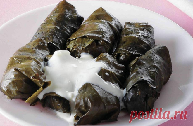 Грузинская кухня. Толма из виноградных листьев