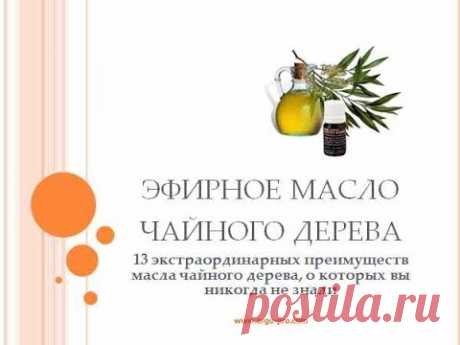 Масло эфирное Чайное дерево свойства и применение