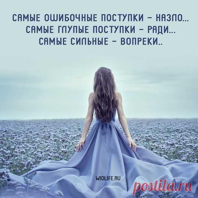 @wiolife.ru su Instagram: 