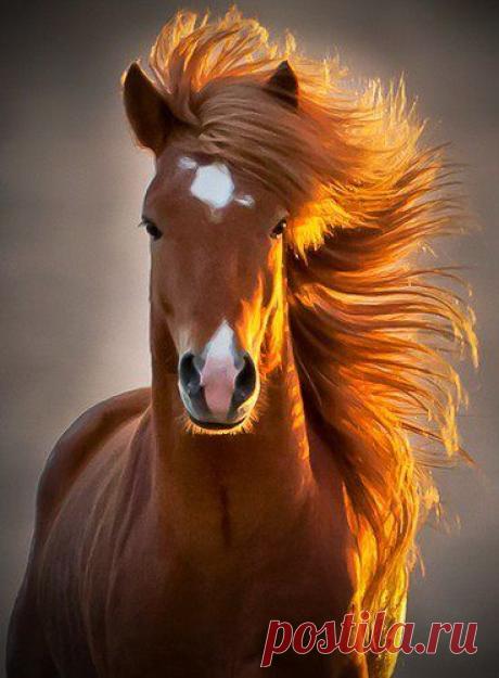 PHOTO ANATOLI LIMASSOL-CYPRUS.     https://www.facebook.com   |   Pinterest • Всемирный каталог идей