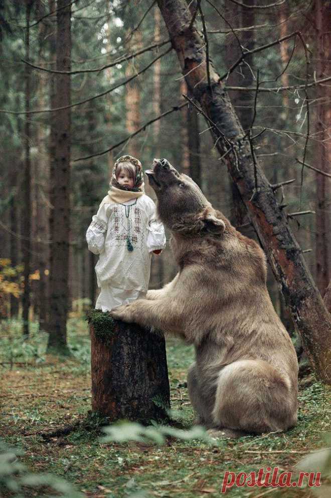 Русские модели, снявшиеся в фотосессии с медведем, взорвали англоязычный интернет