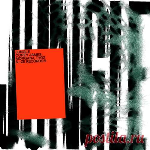 MORGANJ, Corey James & Tyoz – Jungle [DISTC121] - HypeDJ.top