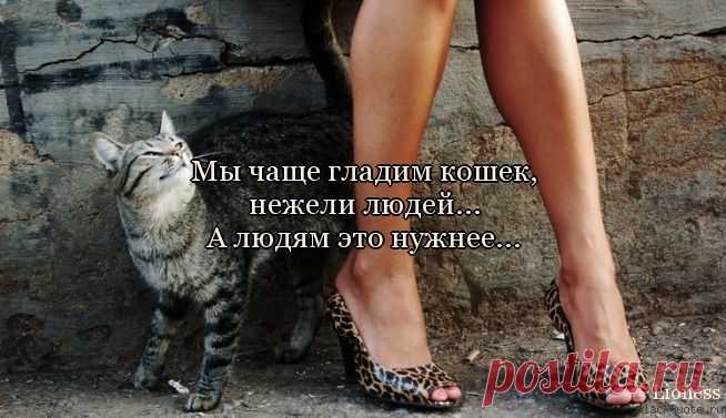 Мысль.