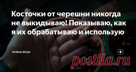 Косточки от черешни никогда не выкидываю! Показываю, как я их обрабатываю и использую В сезон так любимой многими черешни, у нас в доме обязательно стоит баночка для косточек! Я собираю их, чтобы в дальнейшем пустить в дело ценный материал, который многие просто выкидывают.
Кстати, из самой мякоти мы делаем полезное лакомство, которое в случайно придумали еще в детстве на юге. Для этого как раз и надо очистить черешню от косточек, которые я сохранила и подготовила к