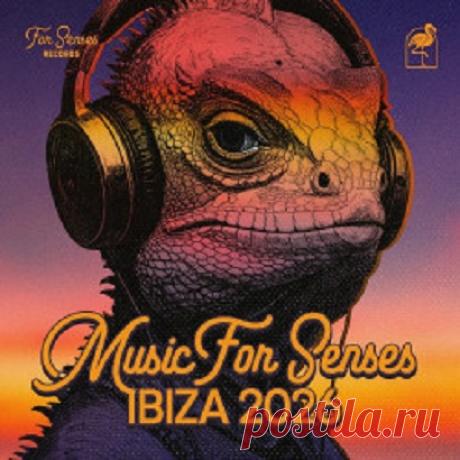 VA - Music for Senses IBIZA 2026 Artist: VA Title: Music for Senses IBIZA 2026 Label: For Senses Records Catalog: FSR085 Released: 26.06.2026 Type: Compilation Genre: Electronic, House, Progressive House — download MP3 & FLAC 320kbps. Fresh releases on Musicvibez