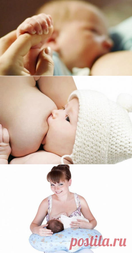 Как кормить грудью новорожденного: позы, правильное прикладывание, рекомендации ВОЗ | Дуэт душ