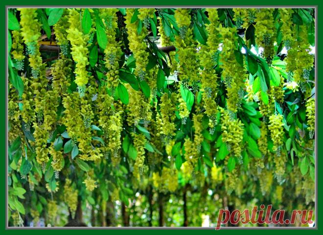 Мой Мир@Mail.Ru