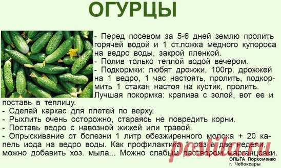 ✔ ПОЛЕЗНЫЕ СОВЕТЫ : 
✪ Сохраните чтобы не потерять.