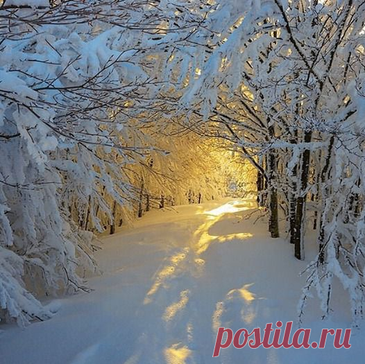 Мой Мир@Mail.Ru