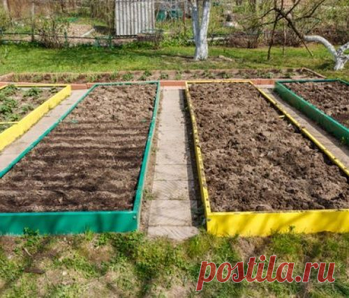 Как без особых хлопот обработать грядки в конце сезона