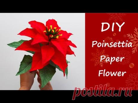 How To Make Poinsettia Paper Flower / DIY Christmas Decorations / Góc nhỏ Handmade