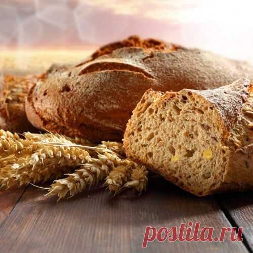 Живой хлеб своими руками