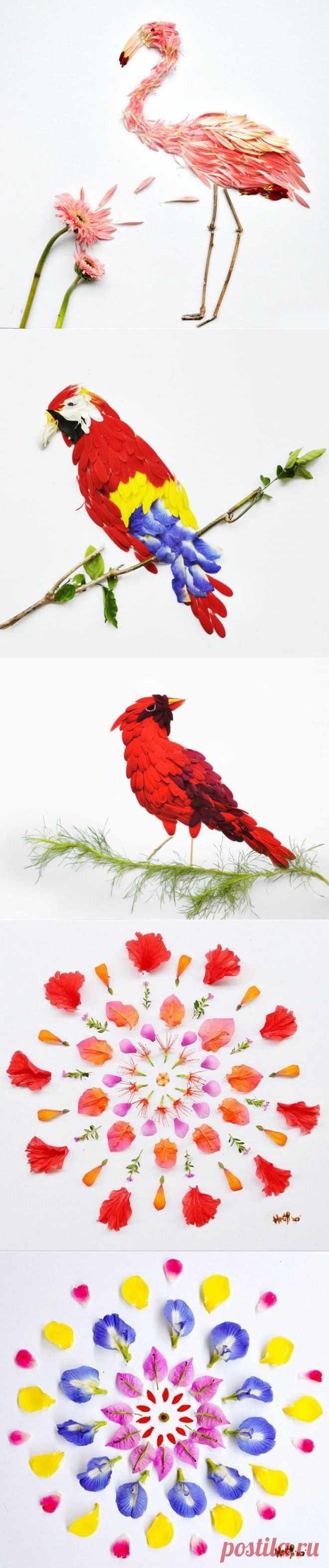 (+1) - Картины лепестками цветов художницы Хонг Йи | Искусство