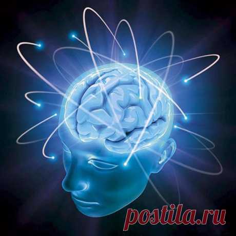 9 малоизвестных фактов о человеческом мозге —