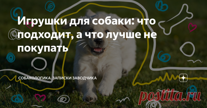 Игрушки для собаки: что подходит, а что лучше не покупать Статья автора «Собакологика.