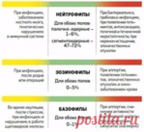 Расшифровка анализа крови! Берем на заметку!