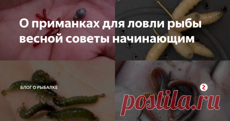 О приманках для ловли рыбы весной советы начинающим Каждый рыбак, даже новичок знает, что весна - идеальное время для ловли любой рыбы, поскольку именно в это время года начинается нерест. Конечно, в данный период ловить можно исключительно на поплавочную снасть. Но как только икромёт заканчивается, рыба клюёт просто отлично, именно поэтому стоит правильно подобрать приманку и прикормку.