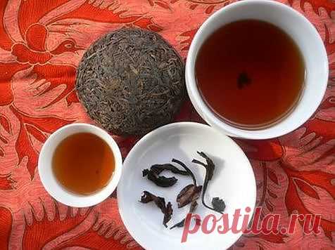 Полезные свойства чая Пуэр.