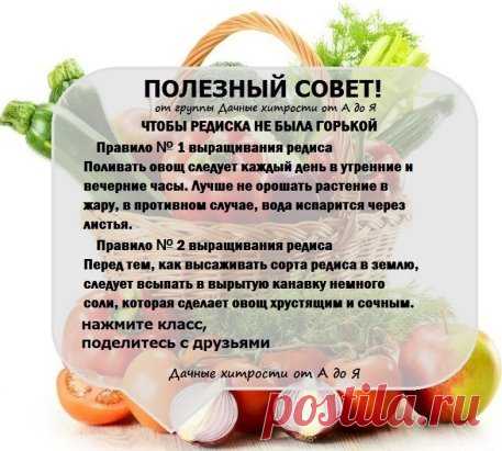 (84) Одноклассники