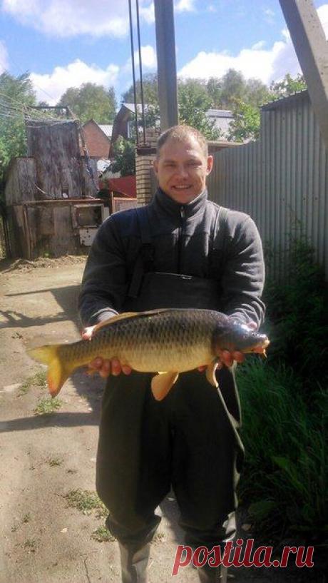 Удачный улов сегодня;-) / Богатая добыча