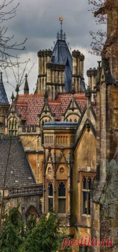 riccardo • A typical view of North Somerset, England.