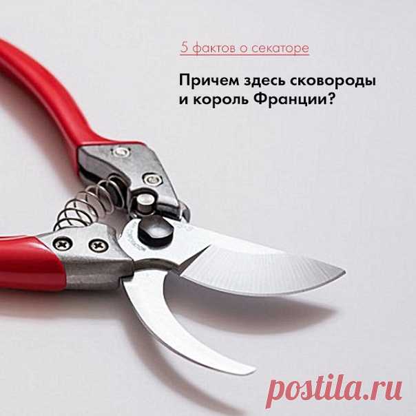 Родом из Франции – прямо с виноградников Его Величества 👑 Для вас – 5 самых необычных фактов про секатор. 1. В Японии секаторы – это не только инструмент для обрезки, но и искусство.
В стране работает целое движение, которое занимается именно секаторами.
2. В Германии на сайте по продаже секаторов можно найти и более оригинальные варианты.
Например, как вам такое?
3. В США есть магазинчик, в котором каждый секатор – произведение искусства.
4. В Китае существует традиция дарить секаторы в качес…