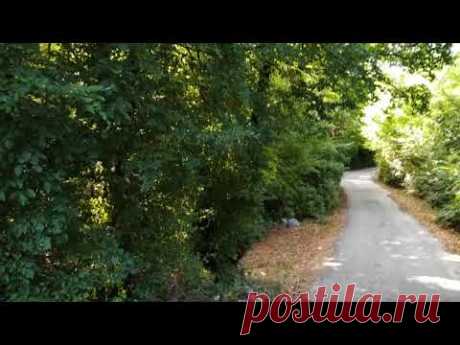 Жара доводит до ручки, ждем вторник и снижение температур Недовольная тетя учит меня разговаривать 😁 😁😁
В наличии #носки_pigeon 😉 Размер: 20-22 см Цена: 60 грн.
Пряжа: BBB lilac - 40% меринос экстрафайн; 40% ПА; 10% ПАН - супервош - 20% вискоза; 10% ПА; 10% хлопок; 10% полиамид; 2% металлик; % вискоза.
Ниточки очень приятные, мягкие, ниточка совсем не колется.
Носочки хорошо тянутся в ширину, поэтому подойдут на ребенка от 3 до 6 месяцев.
Завязки - не только красивый, но и полезный элемент!
Их…