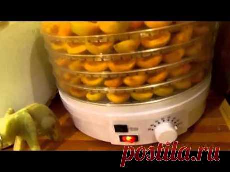 Сушилка для фруктов, потребление электроэнергии.