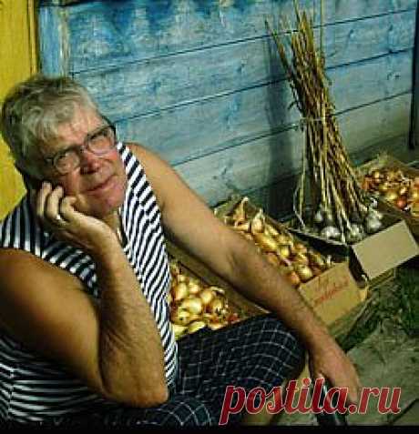 Посадил одну луковицу - выкопал ДЕСЯТЬ!!!